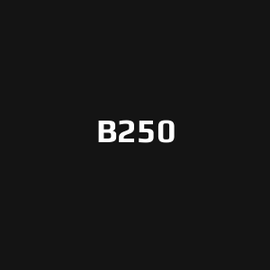 B250